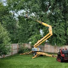 Best Tree and Shrub Care  in Ferndale, PA